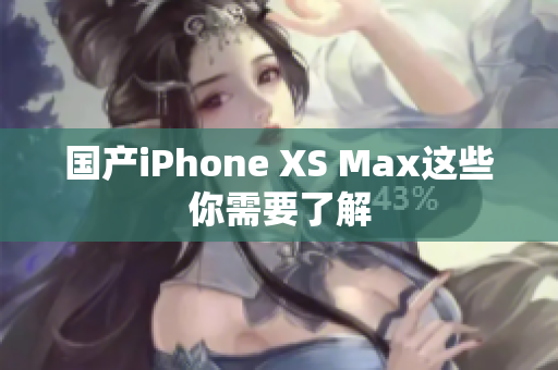 国产iPhone XS Max这些你需要了解