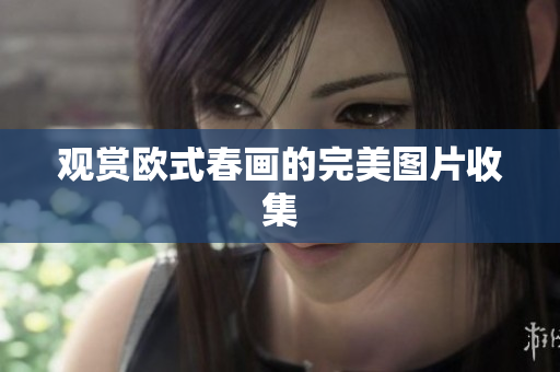 观赏欧式春画的完美图片收集