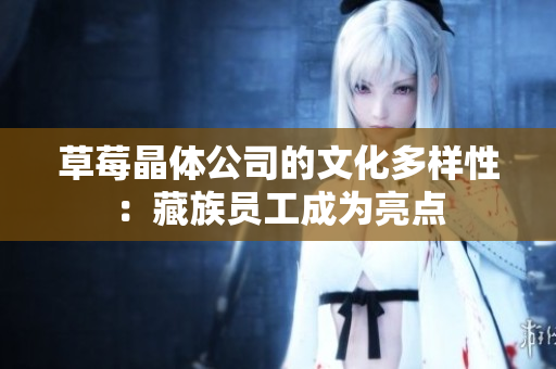 草莓晶体公司的文化多样性：藏族员工成为亮点