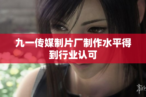 九一传媒制片厂制作水平得到行业认可