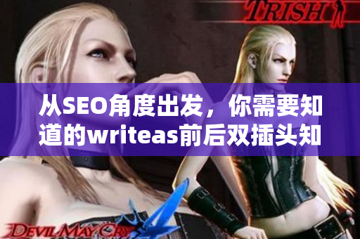 从SEO角度出发，你需要知道的writeas前后双插头知识点