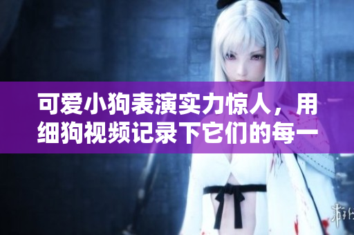 可爱小狗表演实力惊人，用细狗视频记录下它们的每一个可爱瞬间