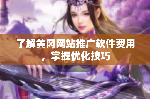 了解黄冈网站推广软件费用，掌握优化技巧