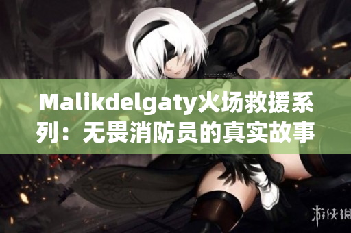 Malikdelgaty火场救援系列：无畏消防员的真实故事
