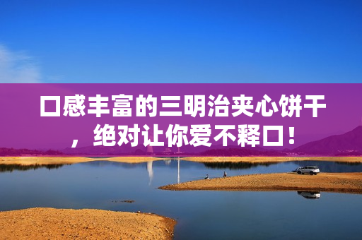 口感丰富的三明治夹心饼干，绝对让你爱不释口！