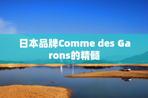 日本品牌Comme des Garons的精髓
