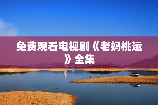 免费观看电视剧《老妈桃运》全集