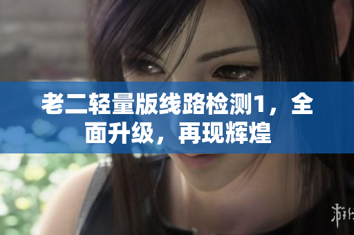 老二轻量版线路检测1，全面升级，再现辉煌