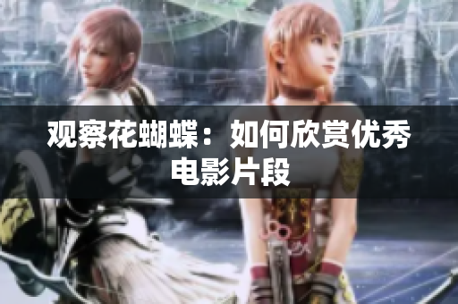 观察花蝴蝶：如何欣赏优秀电影片段