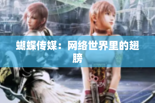 蝴蝶传媒：网络世界里的翅膀