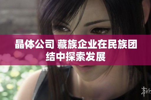 晶体公司 藏族企业在民族团结中探索发展