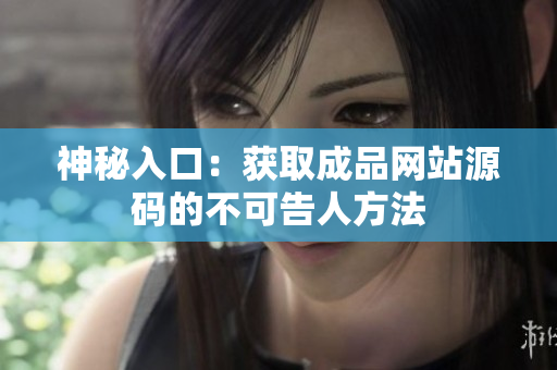 神秘入口：获取成品网站源码的不可告人方法