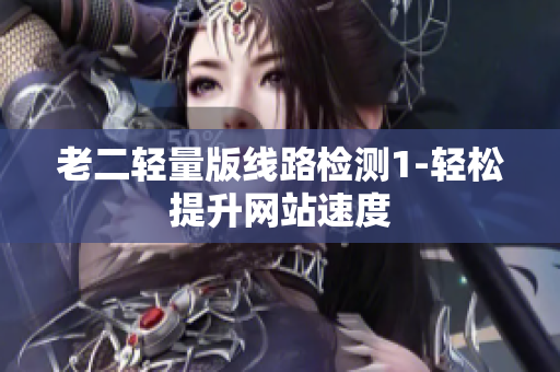 老二轻量版线路检测1-轻松提升网站速度