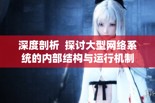 深度剖析  探讨大型网络系统的内部结构与运行机制