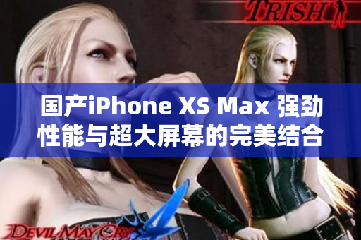 国产iPhone XS Max 强劲性能与超大屏幕的完美结合