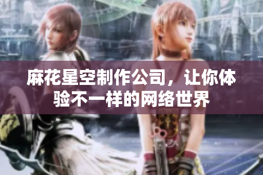 麻花星空制作公司，让你体验不一样的网络世界