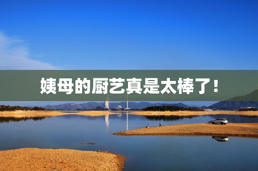 姨母的厨艺真是太棒了！