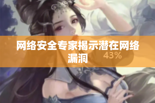 网络安全专家揭示潜在网络漏洞
