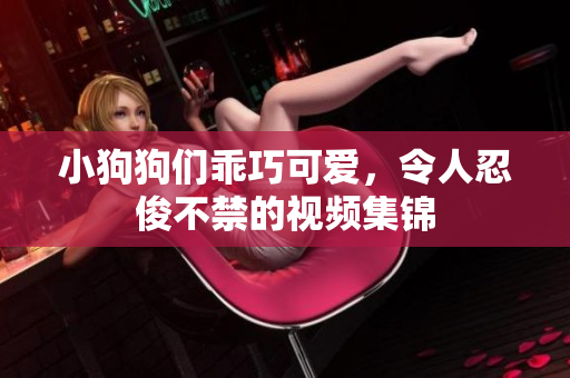 小狗狗们乖巧可爱，令人忍俊不禁的视频集锦