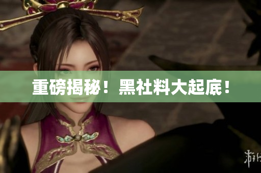 重磅揭秘！黑社料大起底！