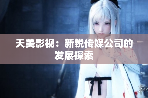 天美影视：新锐传媒公司的发展探索