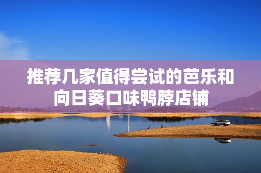 推荐几家值得尝试的芭乐和向日葵口味鸭脖店铺