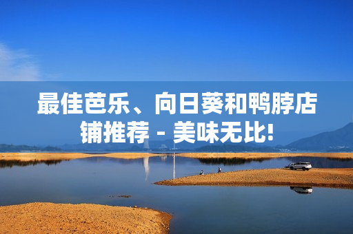 最佳芭乐、向日葵和鸭脖店铺推荐 - 美味无比!