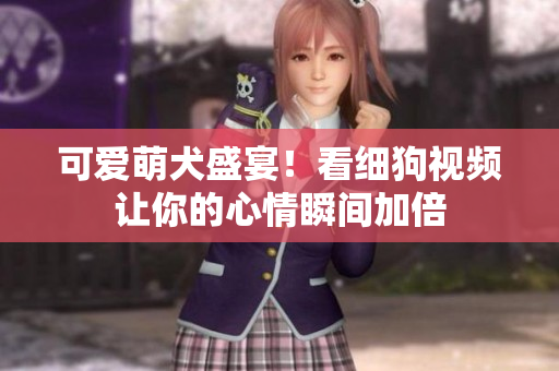 可爱萌犬盛宴！看细狗视频让你的心情瞬间加倍