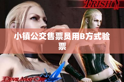 小镇公交售票员用B方式验票