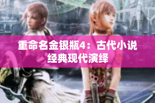 重命名金银瓶4：古代小说经典现代演绎