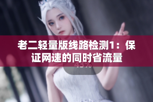 老二轻量版线路检测1：保证网速的同时省流量