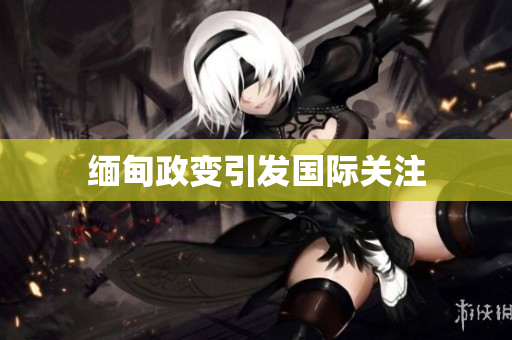 缅甸政变引发国际关注