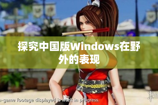 探究中国版Windows在野外的表现