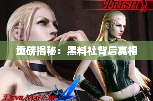 重磅揭秘：黑料社背后真相