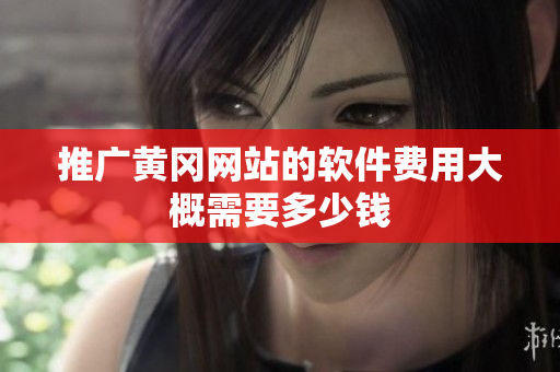 推广黄冈网站的软件费用大概需要多少钱