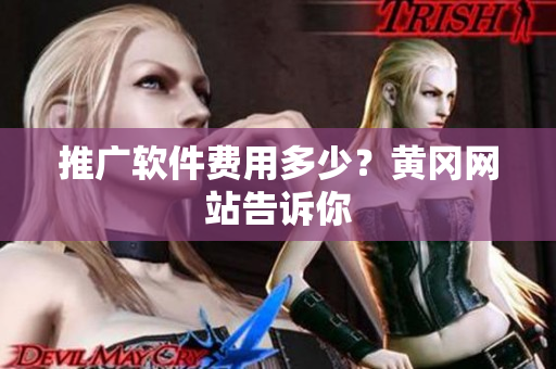 推广软件费用多少？黄冈网站告诉你