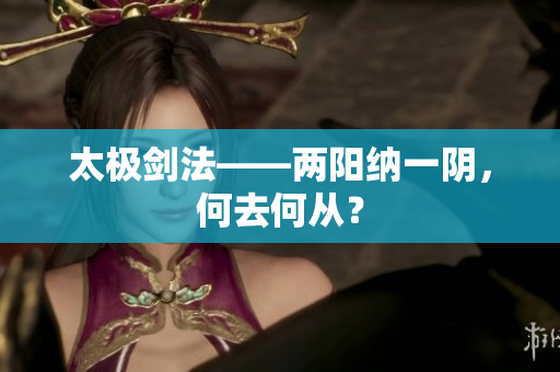太极剑法——两阳纳一阴，何去何从？