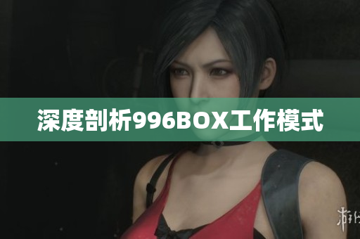 深度剖析996BOX工作模式