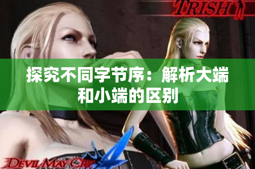 探究不同字节序：解析大端和小端的区别