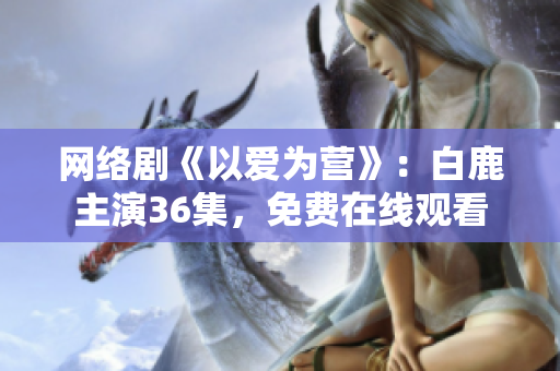 网络剧《以爱为营》：白鹿主演36集，免费在线观看