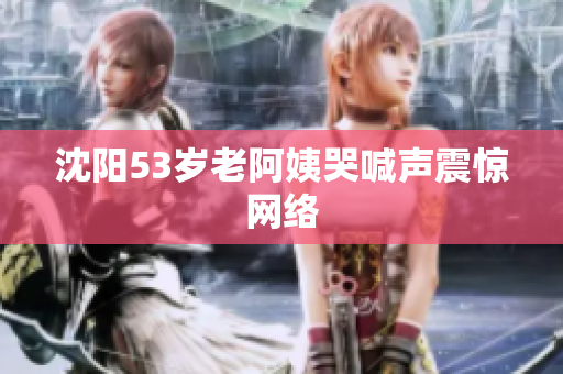 沈阳53岁老阿姨哭喊声震惊网络