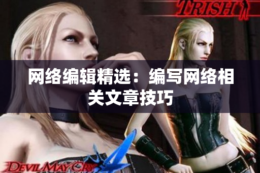 网络编辑精选：编写网络相关文章技巧