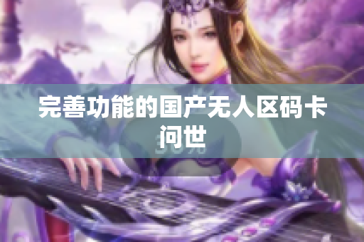 完善功能的国产无人区码卡问世