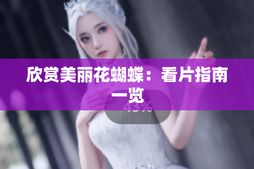 欣赏美丽花蝴蝶：看片指南一览