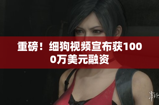 重磅！细狗视频宣布获1000万美元融资