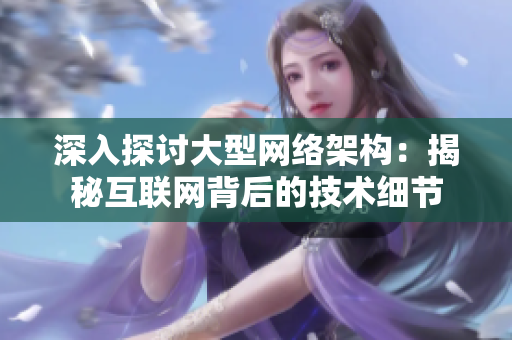 深入探讨大型网络架构：揭秘互联网背后的技术细节