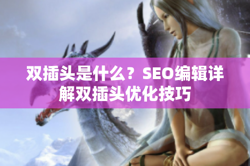 双插头是什么？SEO编辑详解双插头优化技巧